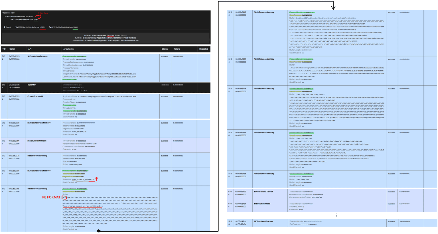 dynamic analysis - capesandbox 1